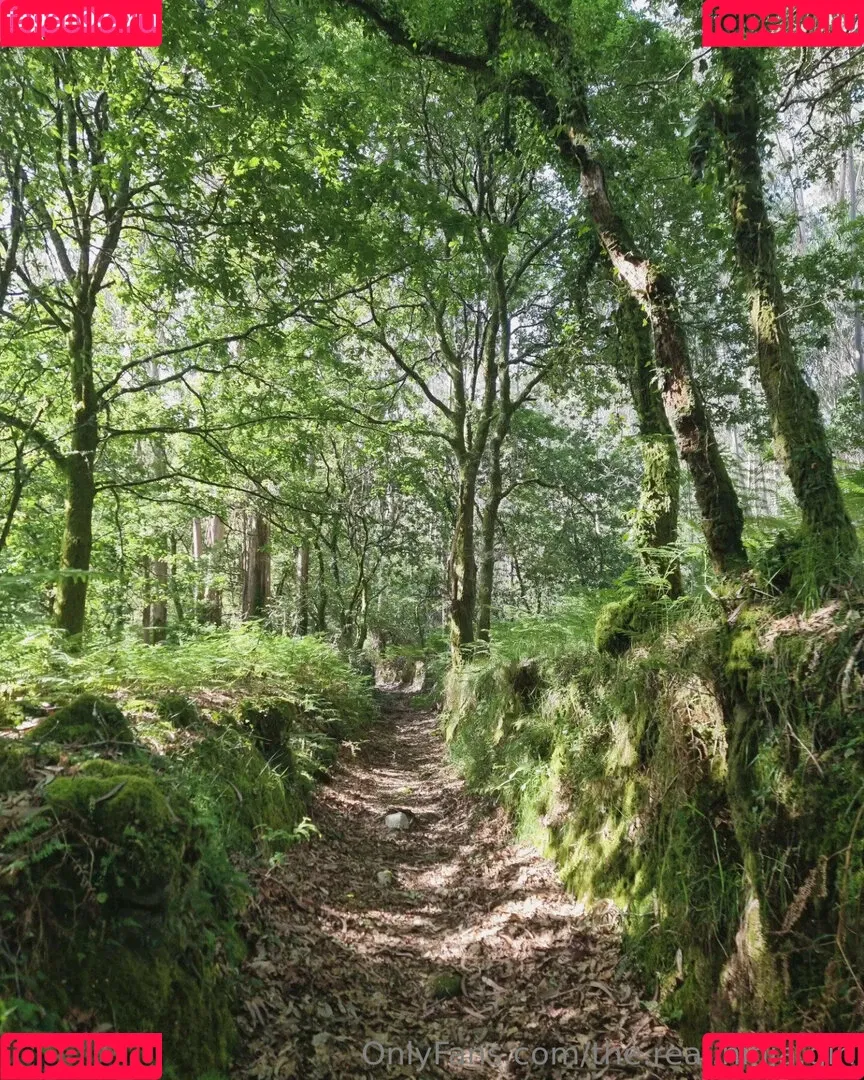 ninja_natalie / the.real.ninja.girl Onlyfans Photo Gallery 