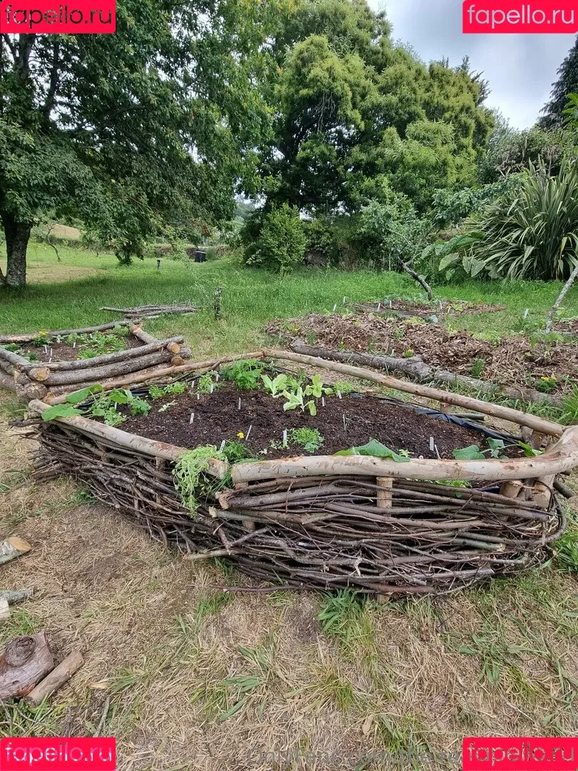 ninja_natalie / the.real.ninja.girl Onlyfans Photo Gallery 