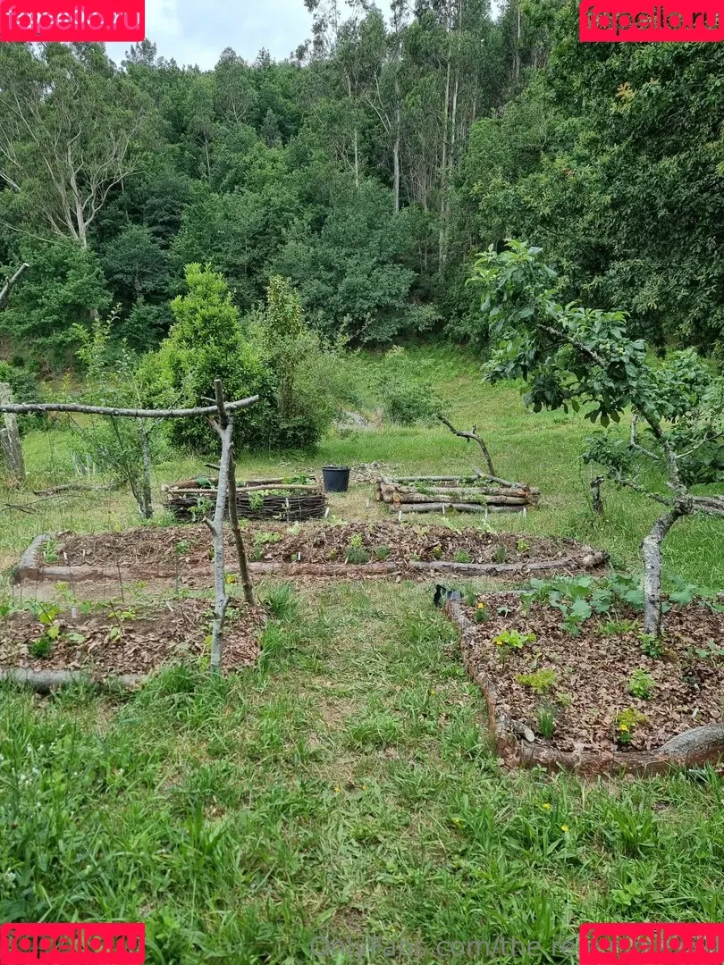 ninja_natalie / the.real.ninja.girl Onlyfans Photo Gallery 