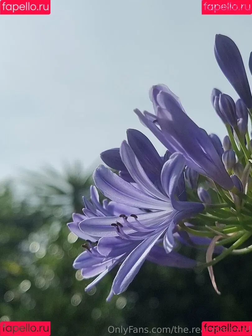 ninja_natalie / the.real.ninja.girl Onlyfans Photo Gallery 