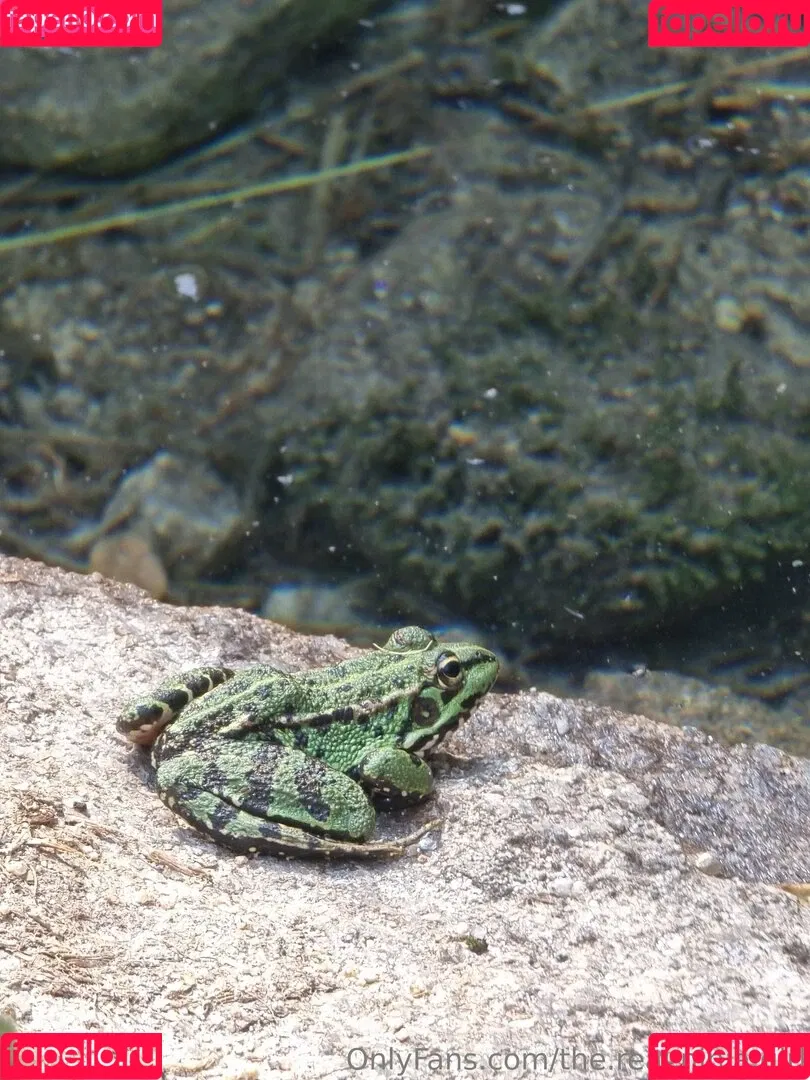 ninja_natalie / the.real.ninja.girl Onlyfans Photo Gallery 