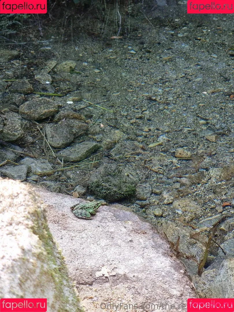 ninja_natalie / the.real.ninja.girl Onlyfans Photo Gallery 