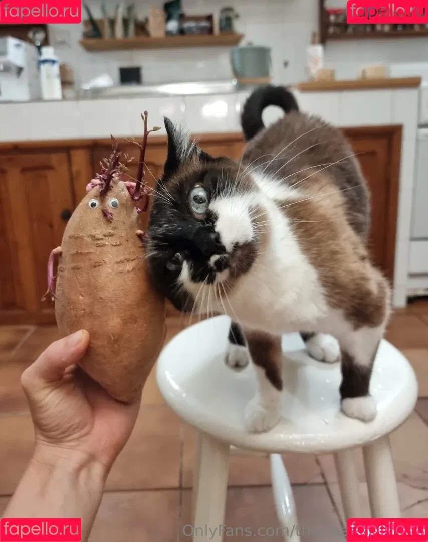 ninja_natalie / the.real.ninja.girl Onlyfans Photo Gallery 