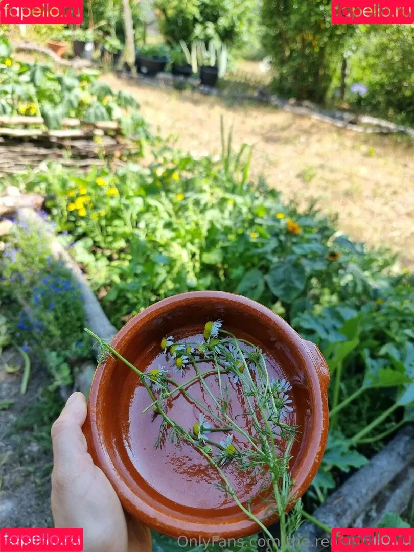 ninja_natalie / the.real.ninja.girl Onlyfans Photo Gallery 