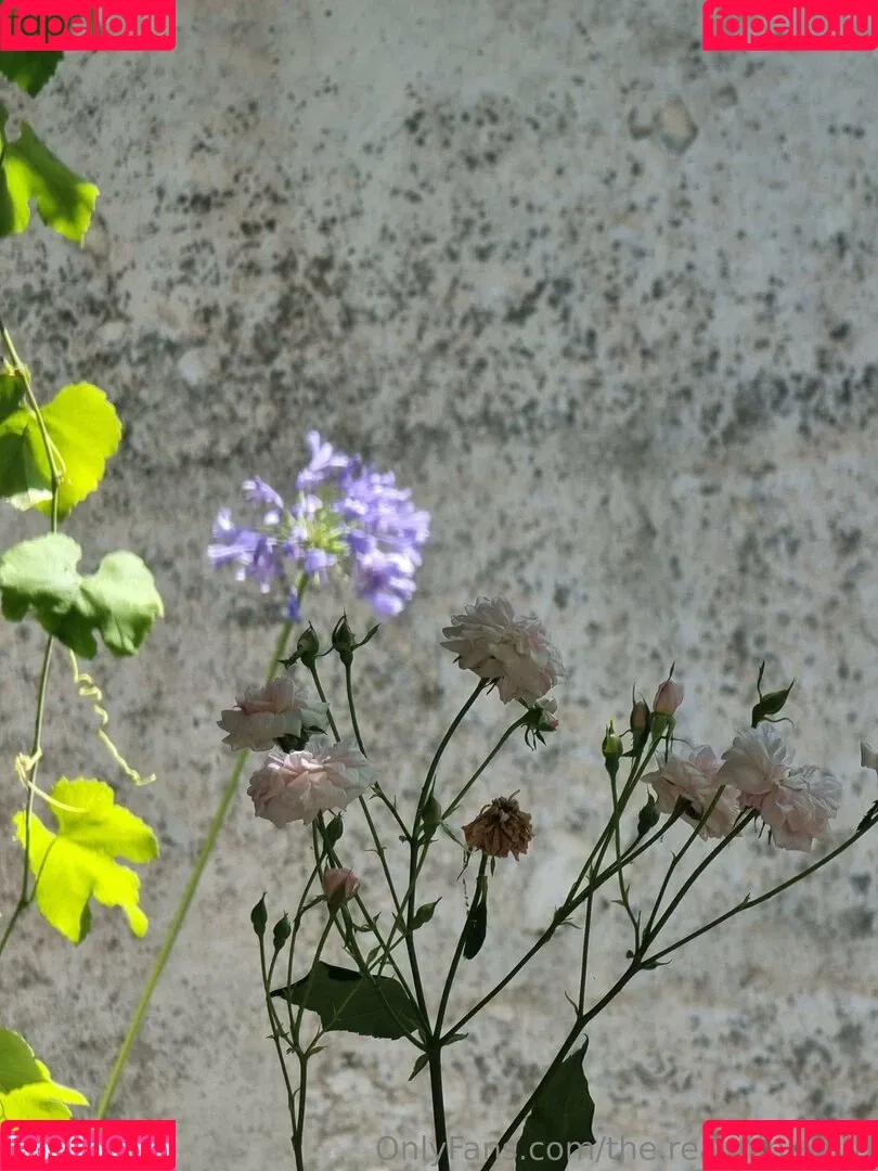 ninja_natalie / the.real.ninja.girl Onlyfans Photo Gallery 