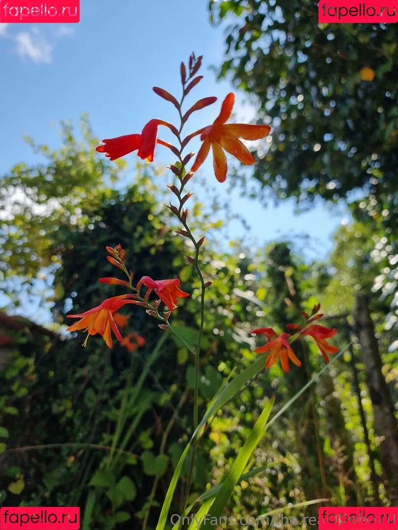 ninja_natalie / the.real.ninja.girl Onlyfans Photo Gallery 