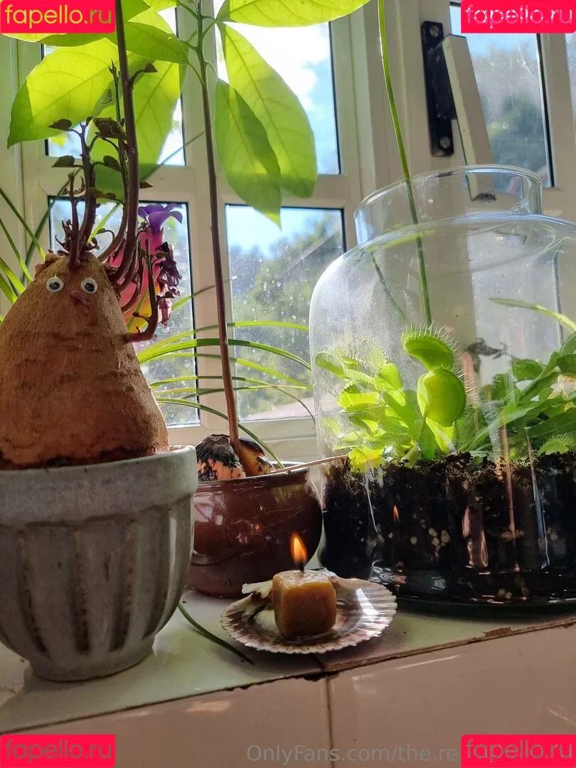 ninja_natalie / the.real.ninja.girl Onlyfans Photo Gallery 