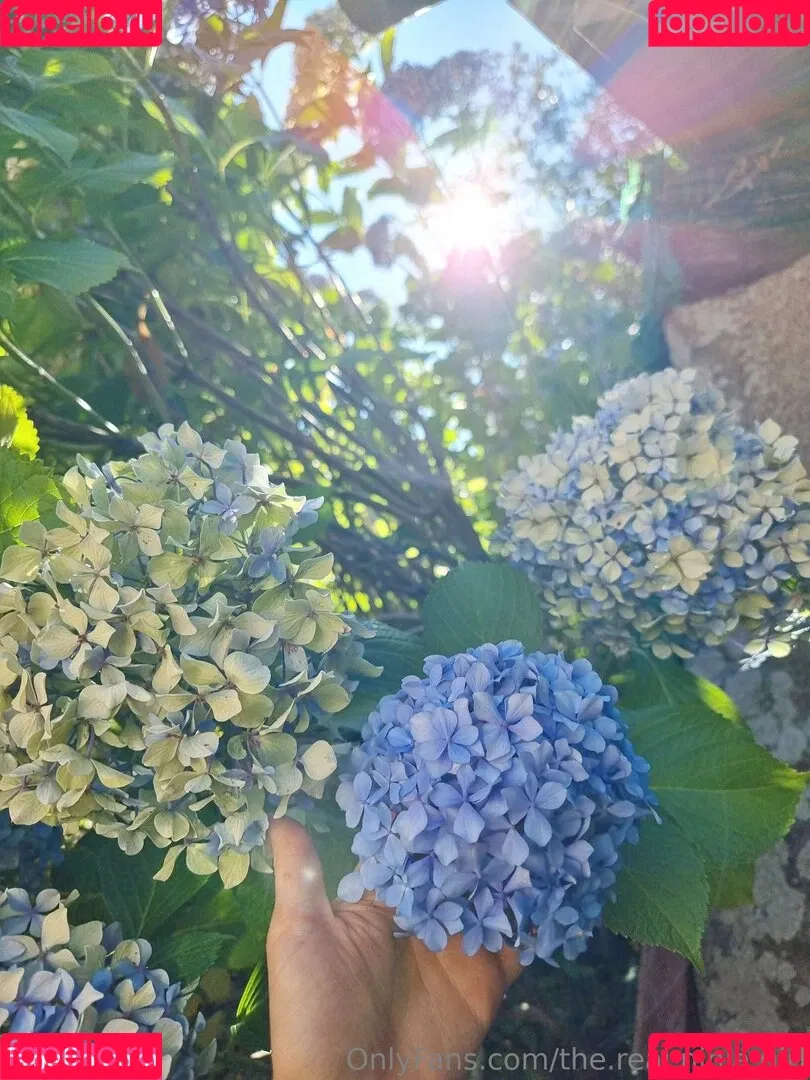 ninja_natalie / the.real.ninja.girl Onlyfans Photo Gallery 