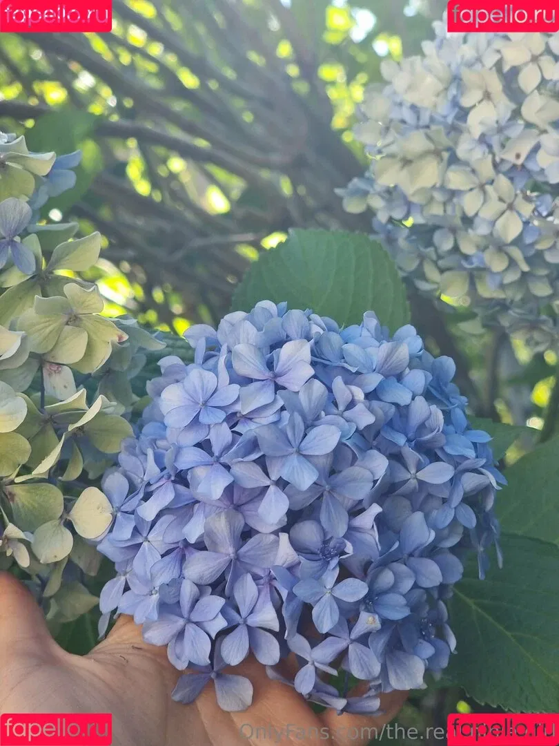 ninja_natalie / the.real.ninja.girl Onlyfans Photo Gallery 