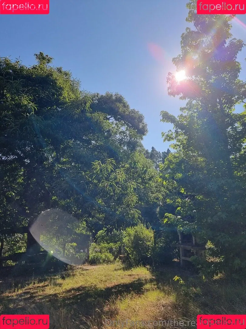 ninja_natalie / the.real.ninja.girl Onlyfans Photo Gallery 