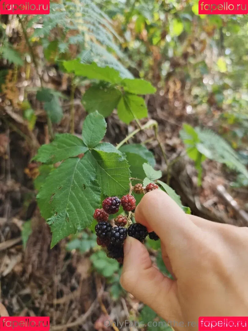 ninja_natalie / the.real.ninja.girl Onlyfans Photo Gallery 