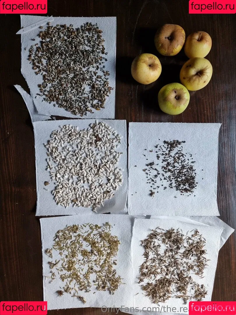 ninja_natalie / the.real.ninja.girl Onlyfans Photo Gallery 