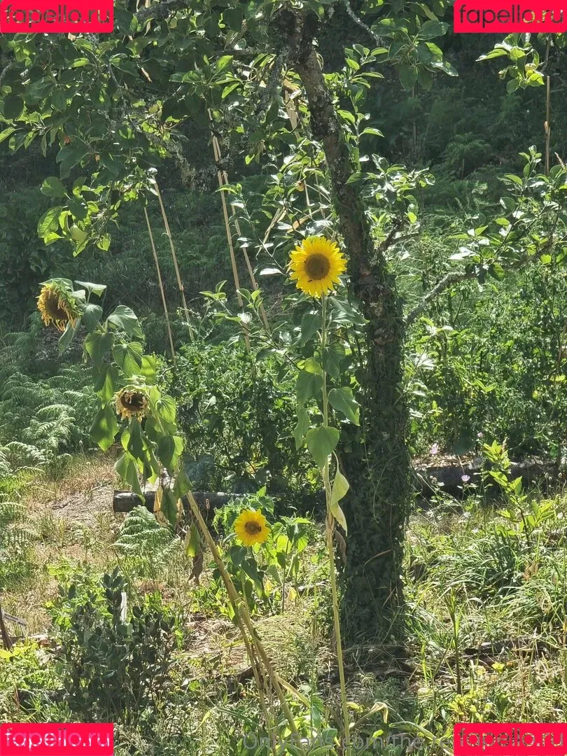 ninja_natalie / the.real.ninja.girl Onlyfans Photo Gallery 