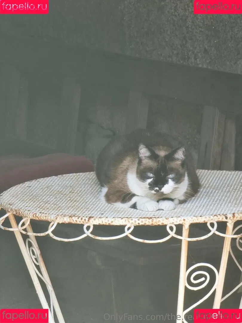 ninja_natalie / the.real.ninja.girl Onlyfans Photo Gallery 