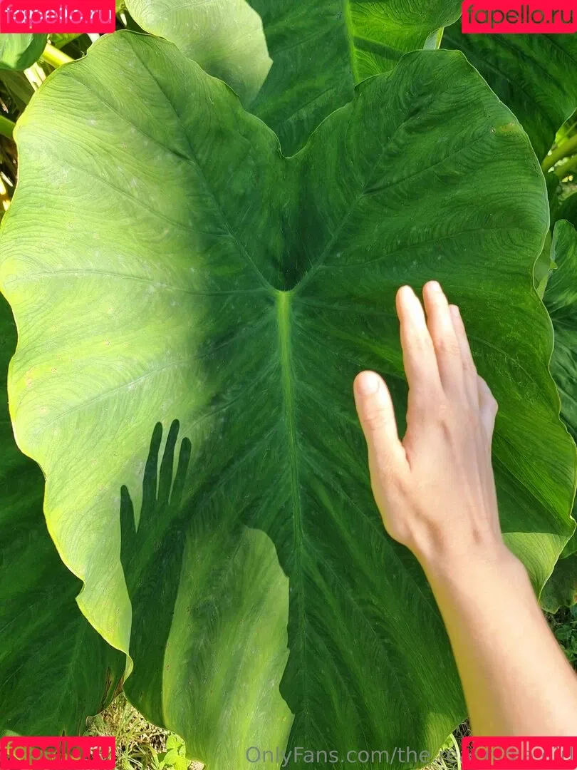 ninja_natalie / the.real.ninja.girl Onlyfans Photo Gallery 