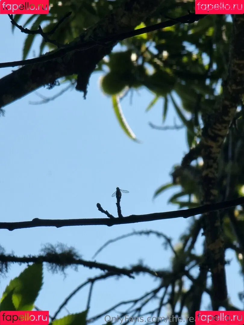 ninja_natalie / the.real.ninja.girl Onlyfans Photo Gallery 