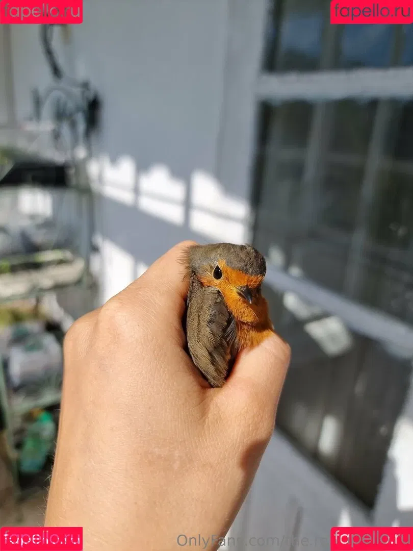 ninja_natalie / the.real.ninja.girl Onlyfans Photo Gallery 