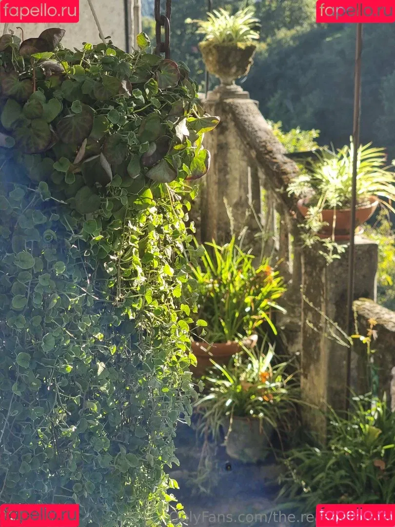 ninja_natalie / the.real.ninja.girl Onlyfans Photo Gallery 