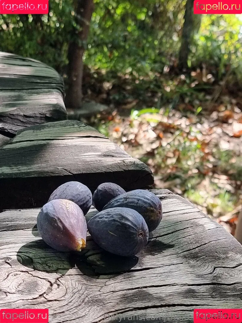 ninja_natalie / the.real.ninja.girl Onlyfans Photo Gallery 