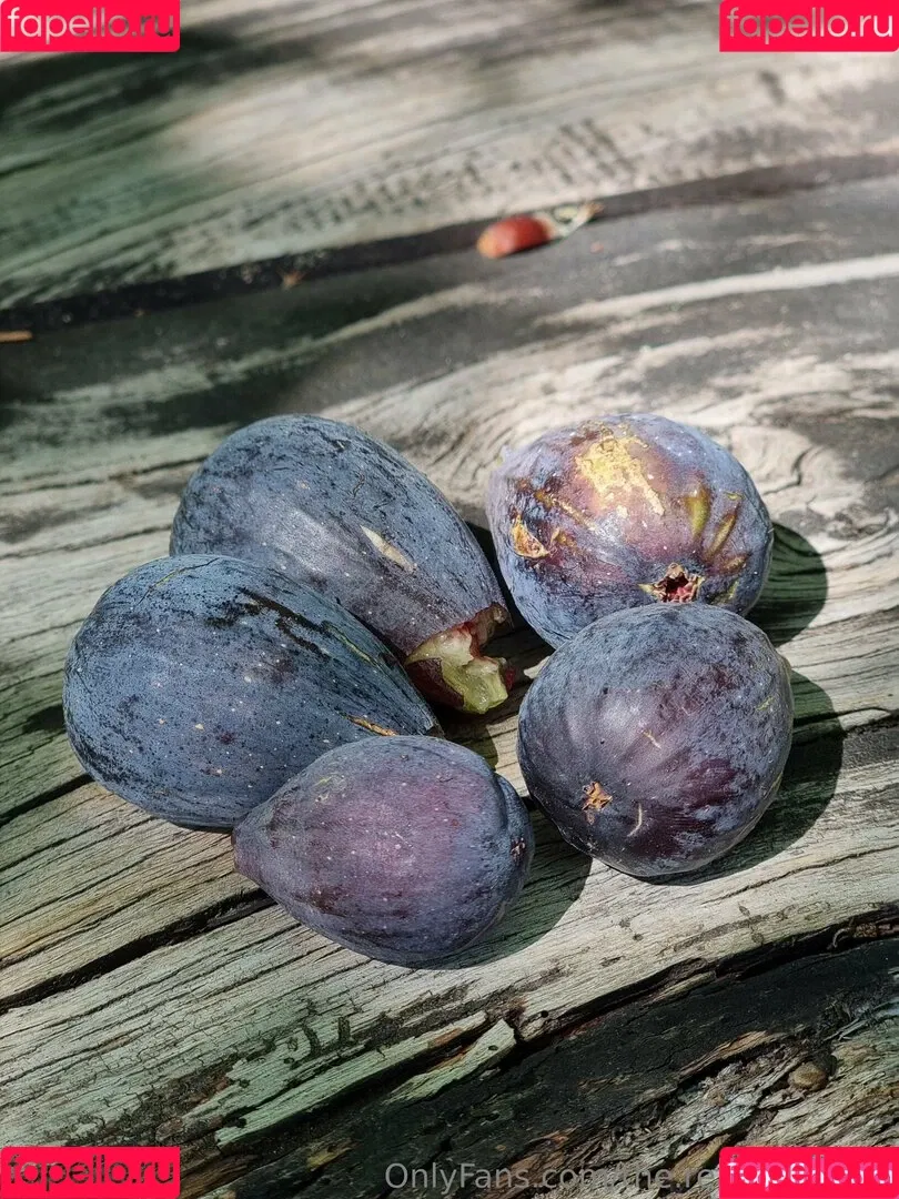 ninja_natalie / the.real.ninja.girl Onlyfans Photo Gallery 