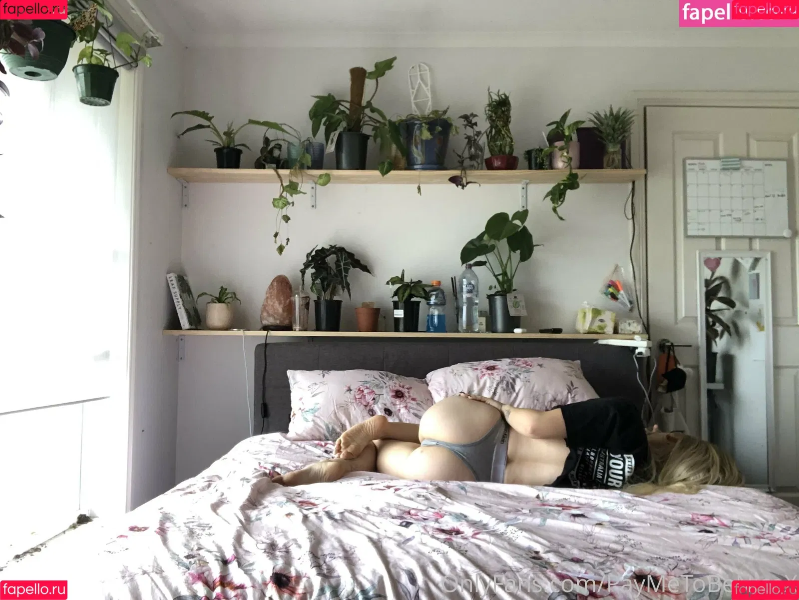 lexibrookerivera / naughtyhortyxo Onlyfans Photo Gallery 