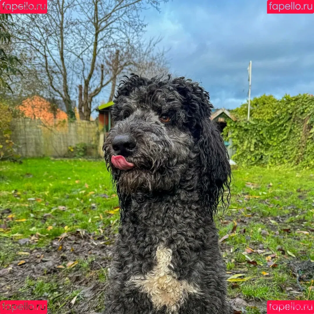 ThorriandJax / thorri.jax / thorrijax Onlyfans Photo Gallery 