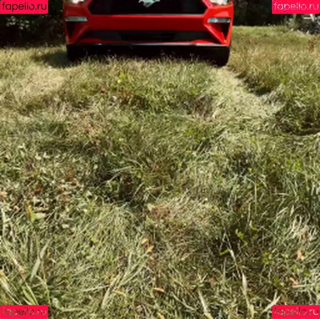 Shiri Allwood / ShiriAllwoodXXX / shiriallwood / shiritrap Onlyfans Photo Gallery 