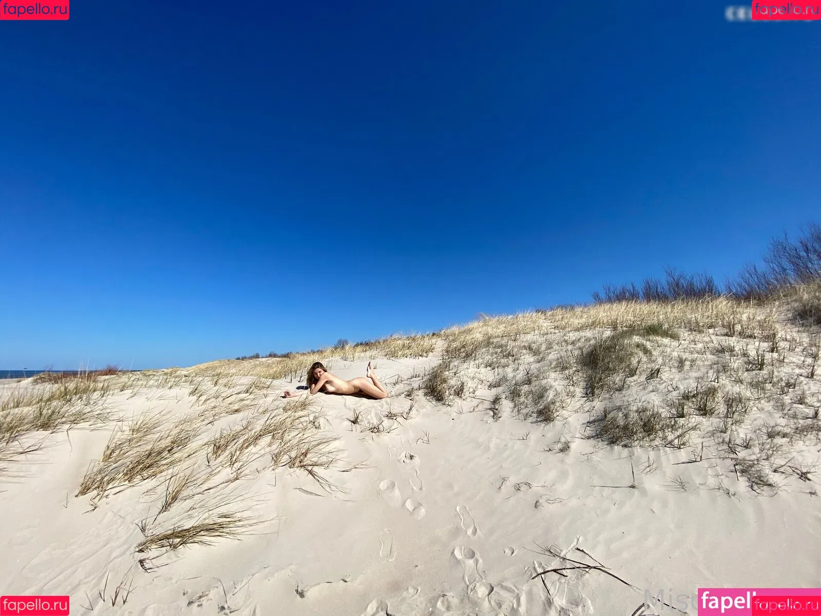 MischaGoesWild Onlyfans Photo Gallery 