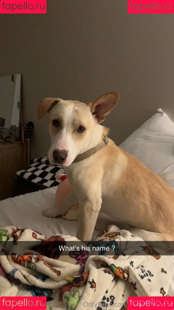 glizzycatcher / glizzycreams Onlyfans Photo Gallery 