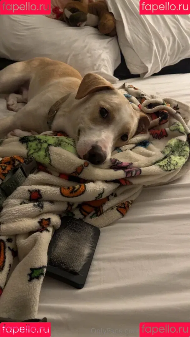 glizzycatcher / glizzycreams Onlyfans Photo Gallery 