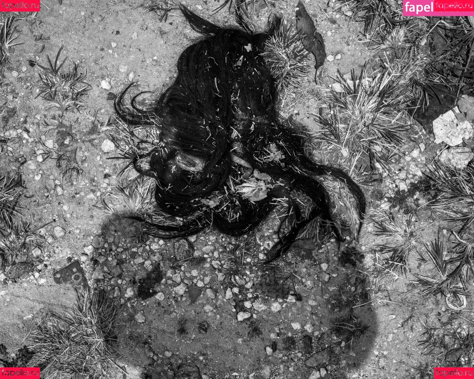 Samoylova Onlyfans Photo Gallery 