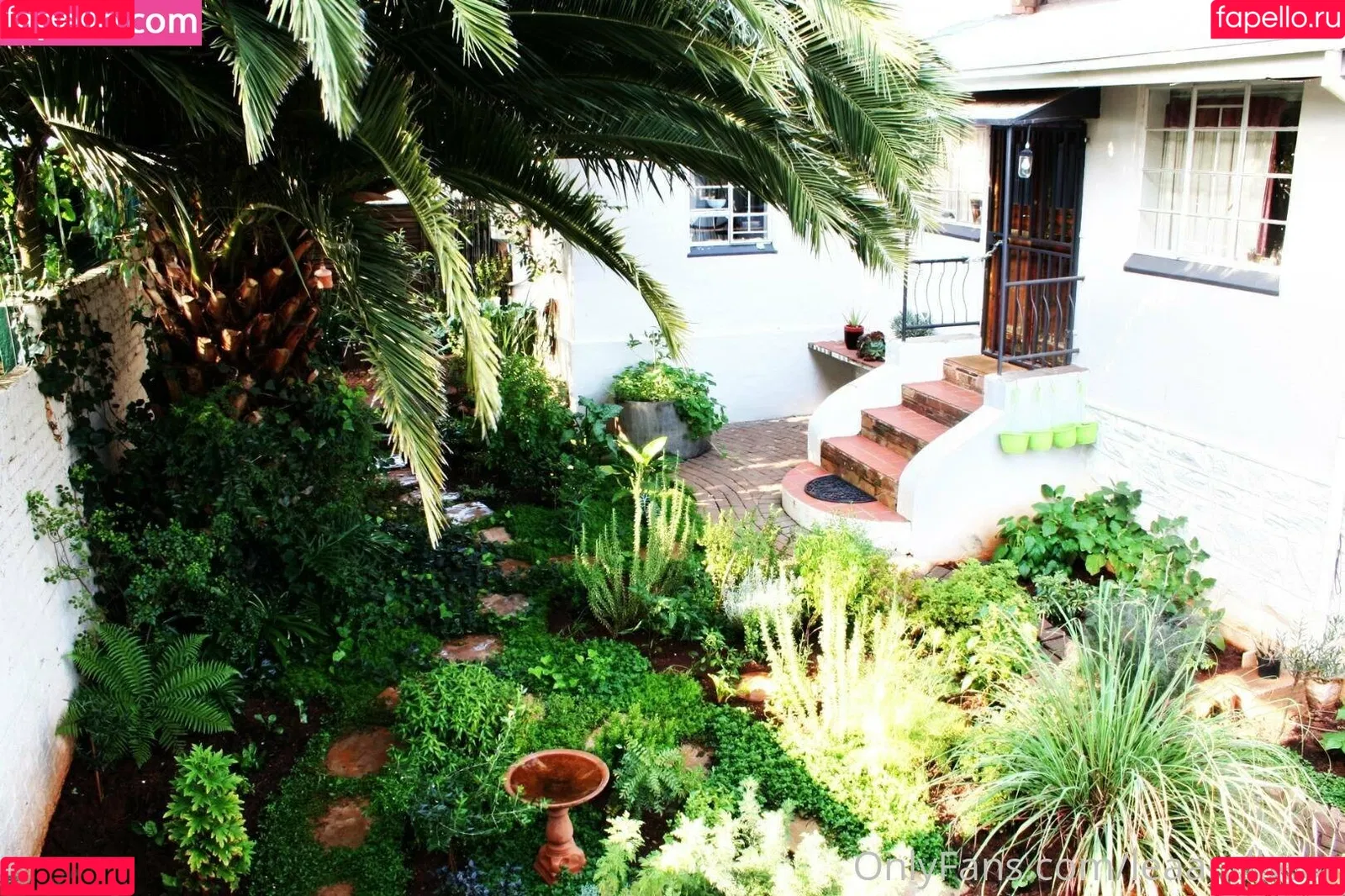 Bear / Lea / lea.bears / leaandbear Onlyfans Photo Gallery 