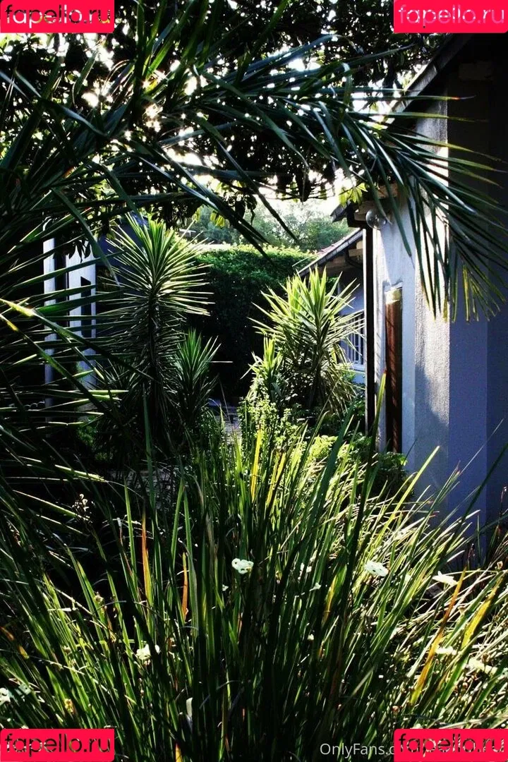 Bear / Lea / lea.bears / leaandbear Onlyfans Photo Gallery 