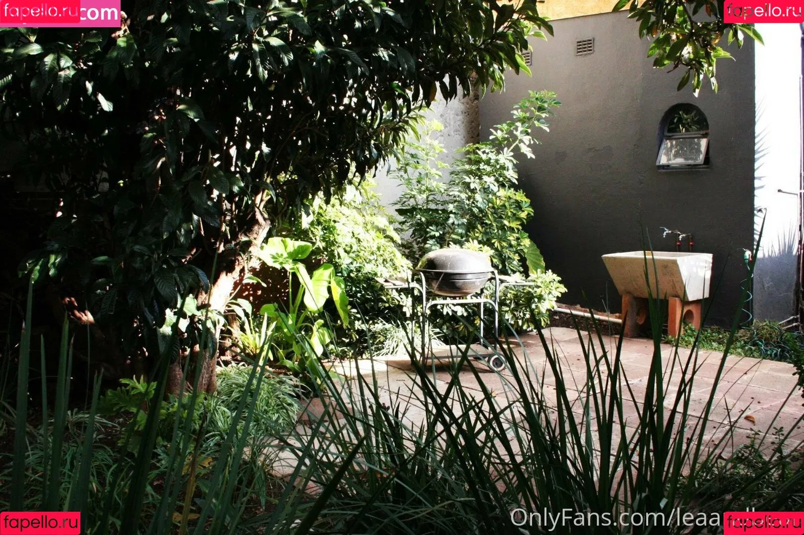 Bear / Lea / lea.bears / leaandbear Onlyfans Photo Gallery 