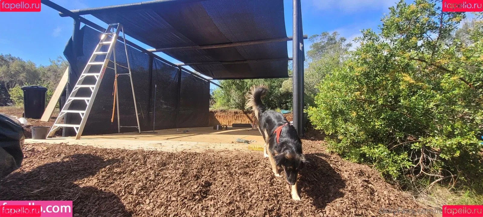 Bear / Lea / lea.bears / leaandbear Onlyfans Photo Gallery 