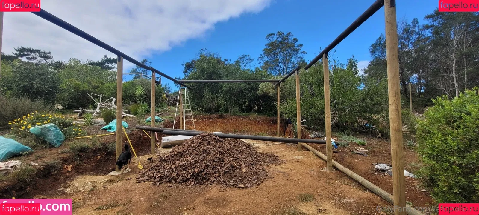 Bear / Lea / lea.bears / leaandbear Onlyfans Photo Gallery 