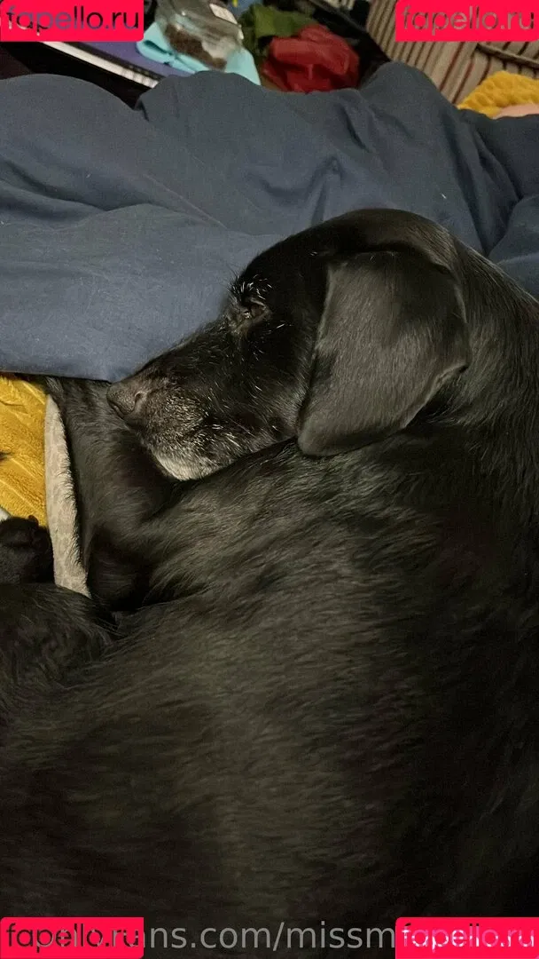 margotthr0bbie / missmarilynxx Onlyfans Photo Gallery 