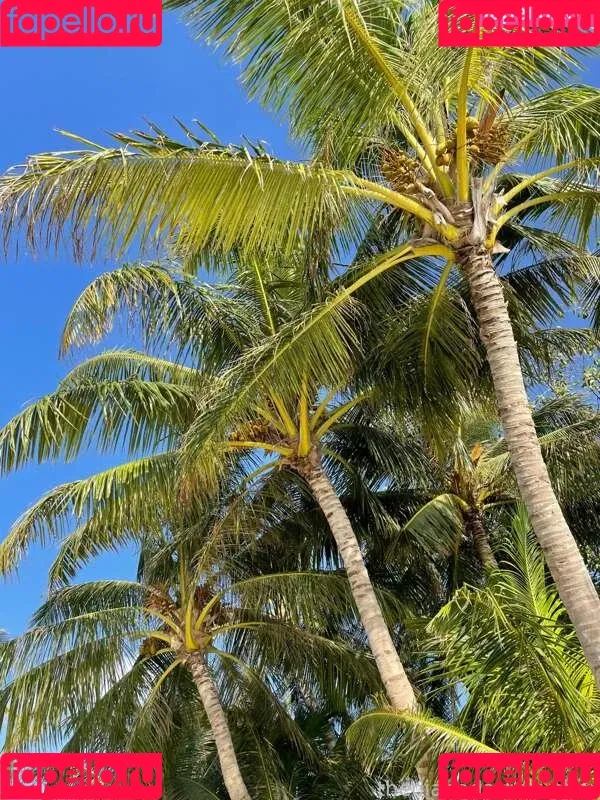 Diana Daniels / DianaDaniels / diana_daniels / https: Onlyfans Photo Gallery 