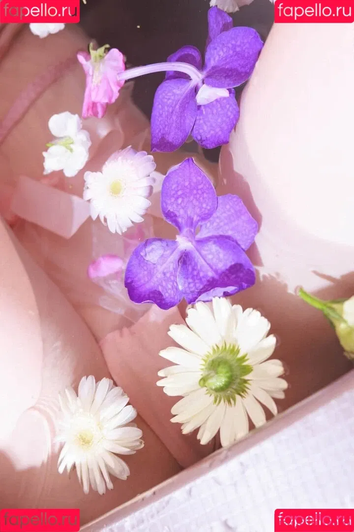 Nito Lisa / Zlozlozloo / nitolisa / nitolisa_zlozlozloo / 仁藤りさ Onlyfans Photo Gallery 