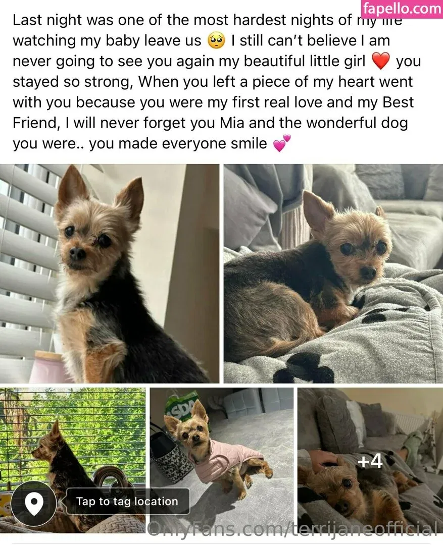 terrijaneofficial Onlyfans Photo Gallery 