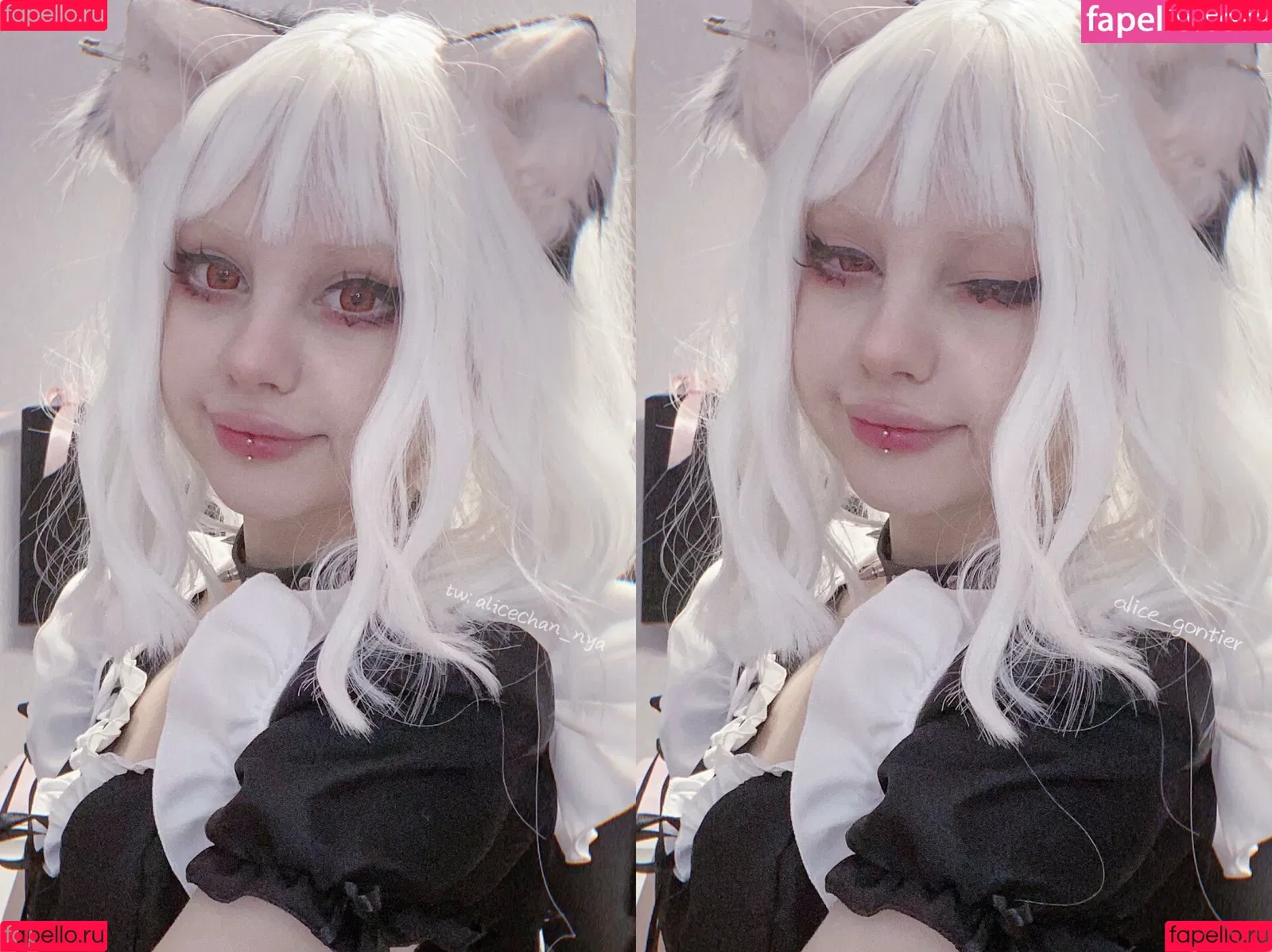 Alice Marshmellow / Araivun Onlyfans Photo Gallery 