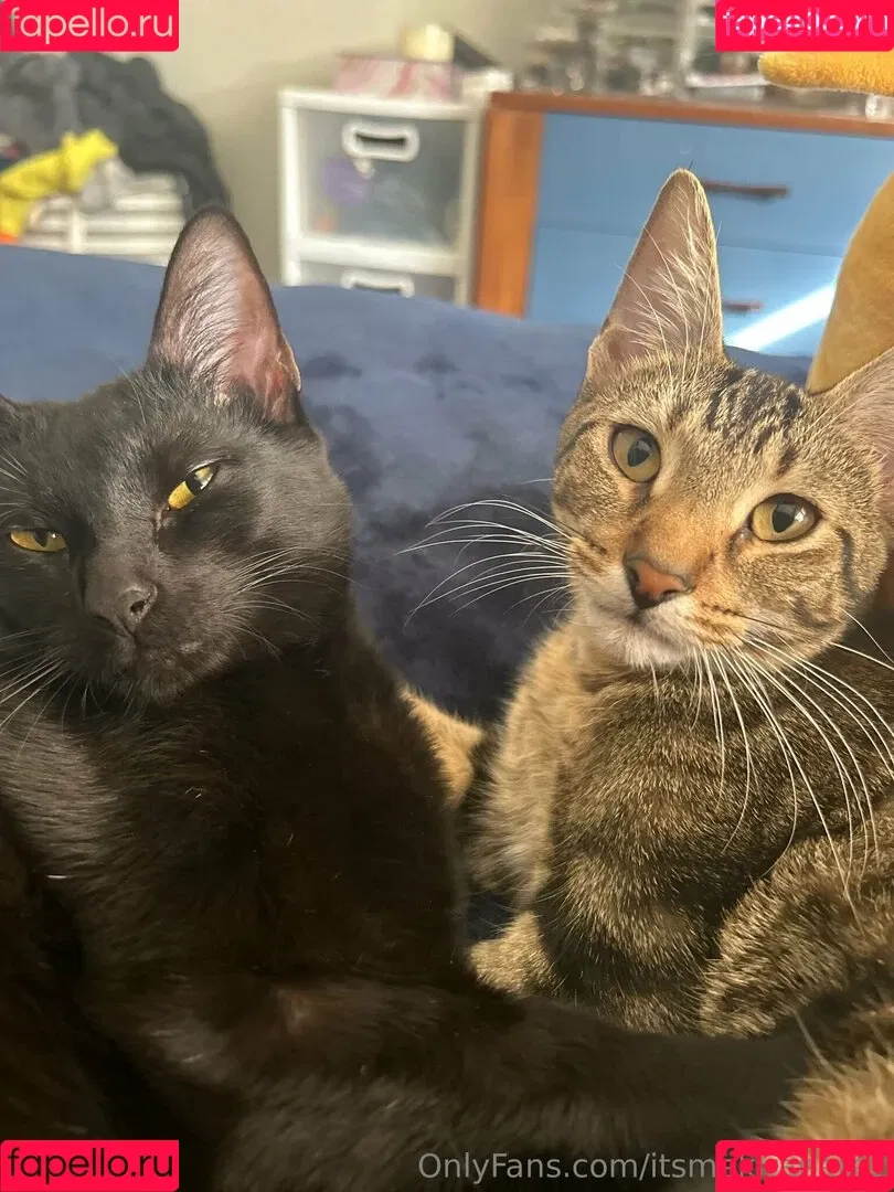 actuallykiraperez / itsmekiraperez Onlyfans Photo Gallery 