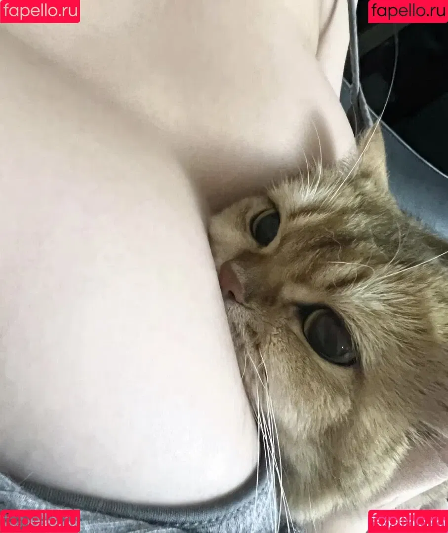 Takomayuyi / https: / takochabuu Onlyfans Photo Gallery 