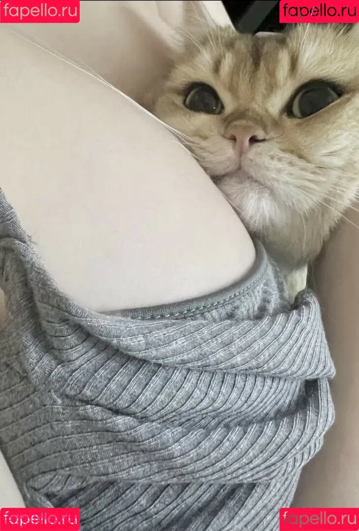 Takomayuyi / https: / takochabuu Onlyfans Photo Gallery 