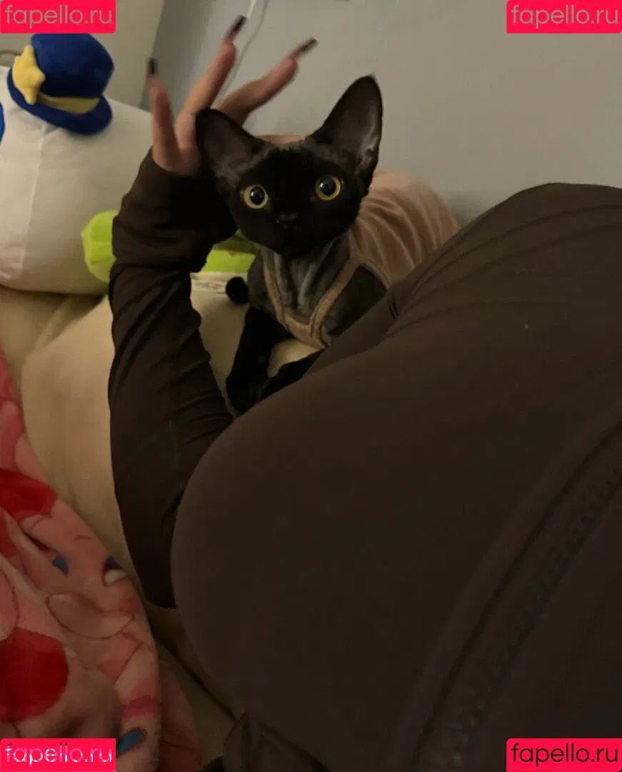 Takomayuyi / https: / takochabuu Onlyfans Photo Gallery 