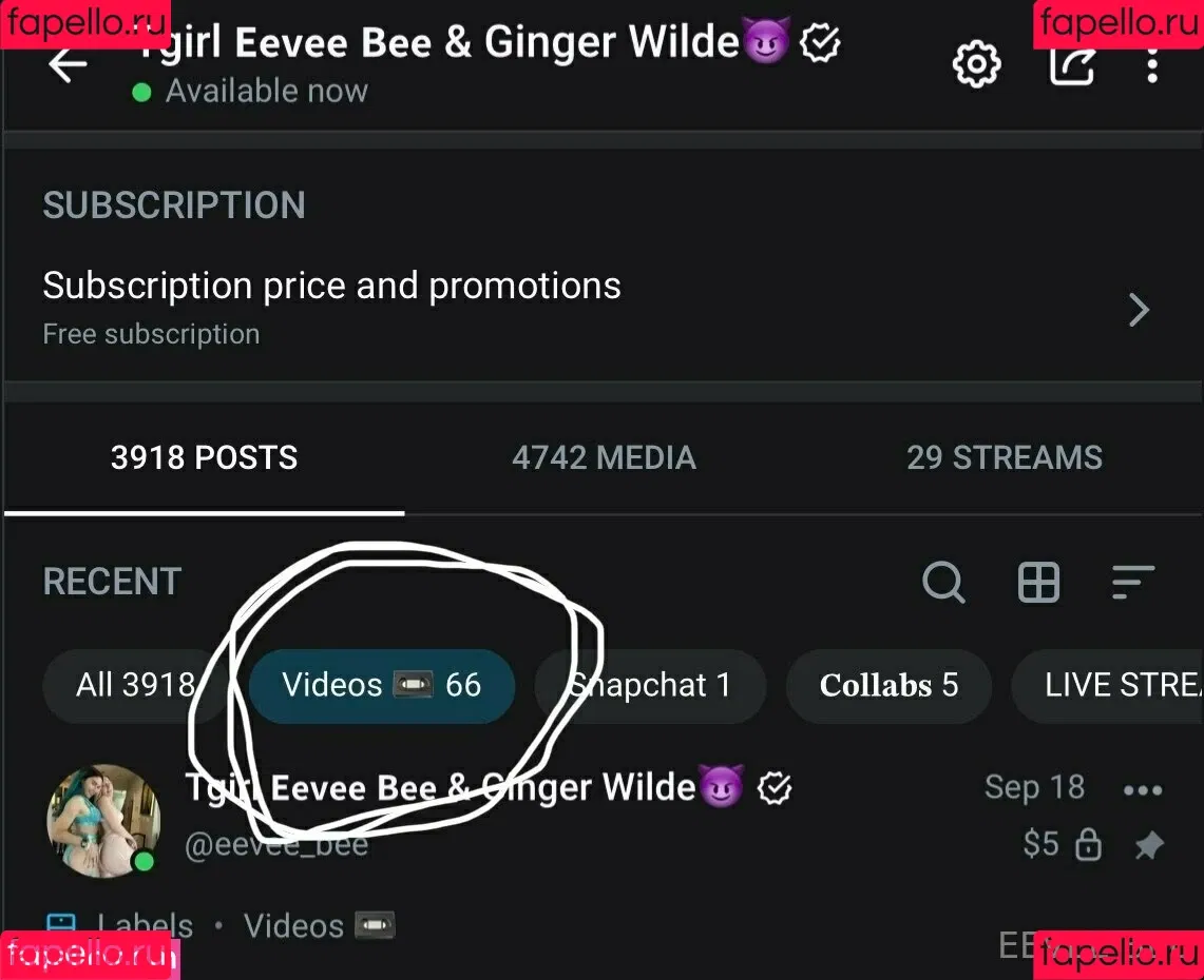 Eevee Bee / Eeveebeeshow / eevee_bee / eeveethebee Onlyfans Photo Gallery 