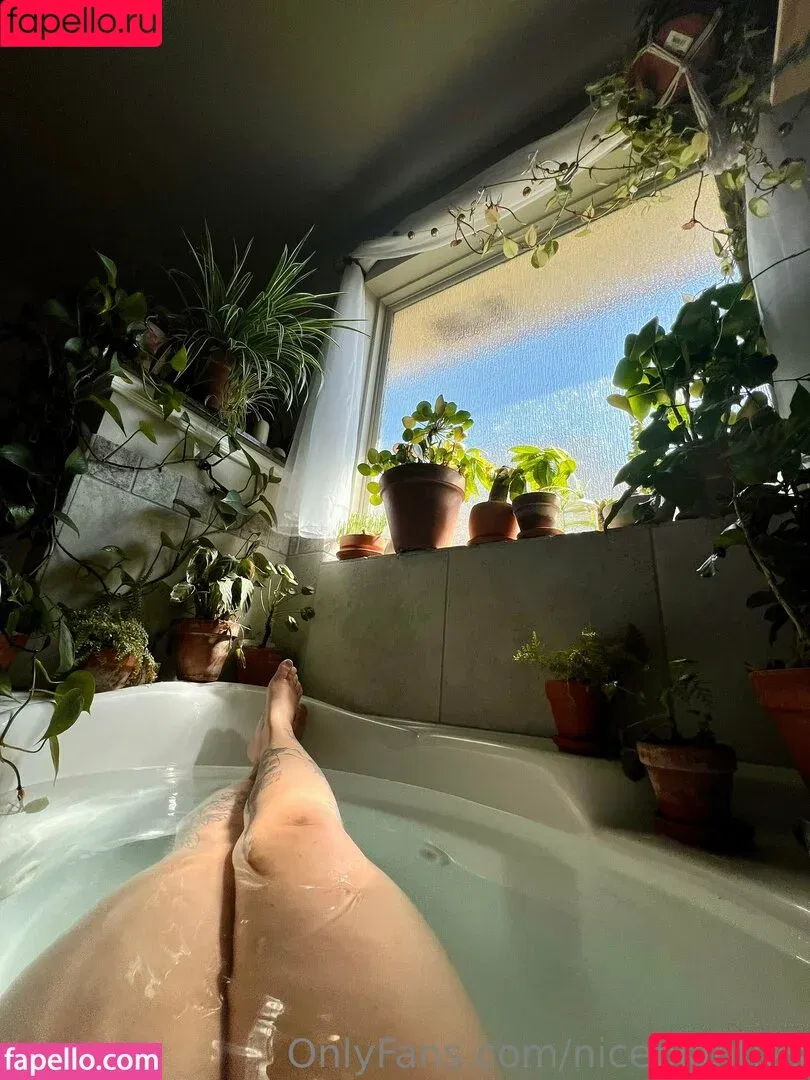 niceplanties / theniceplant Onlyfans Photo Gallery 