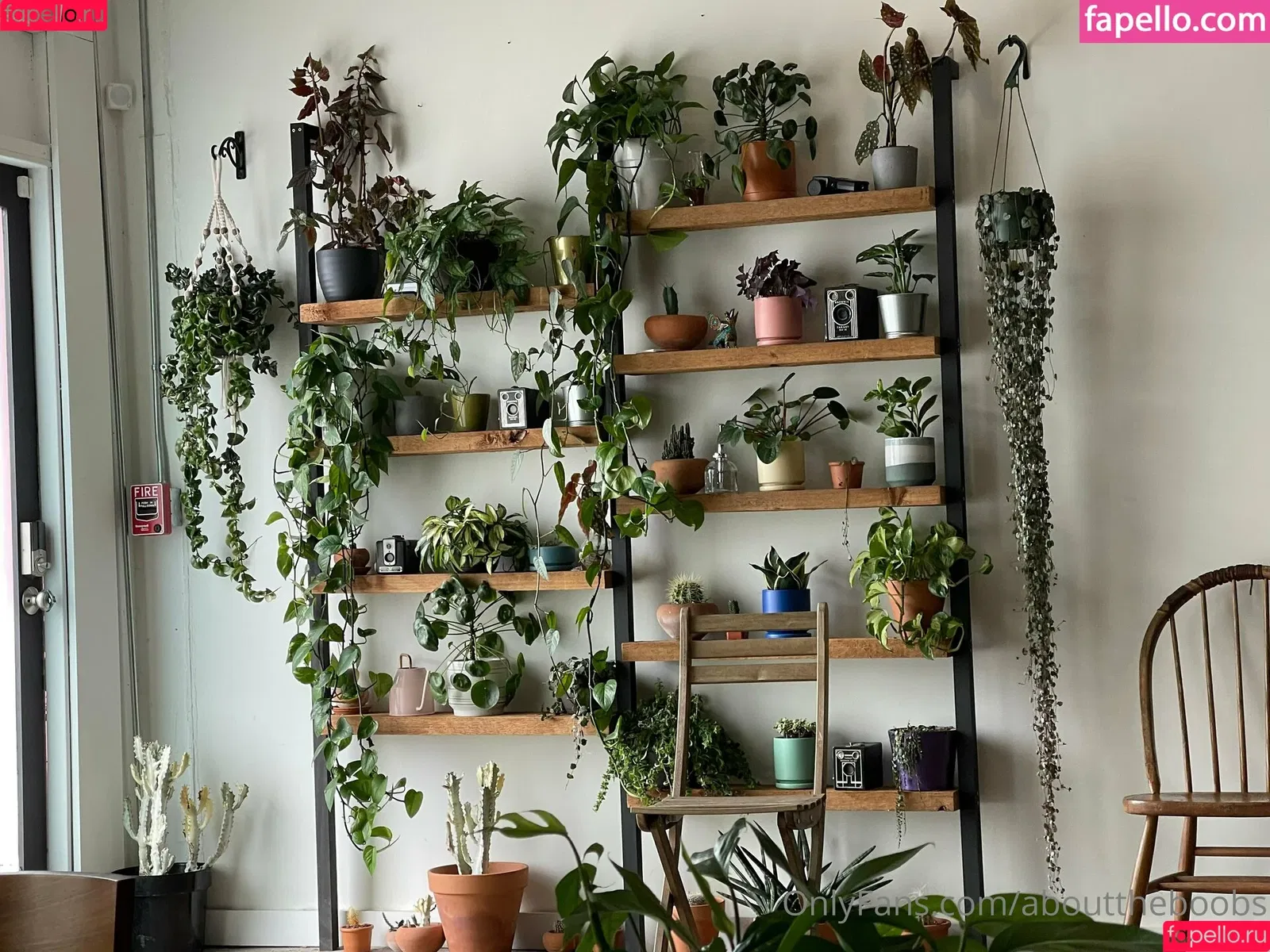 jennfree / jenvonnfree Onlyfans Photo Gallery 