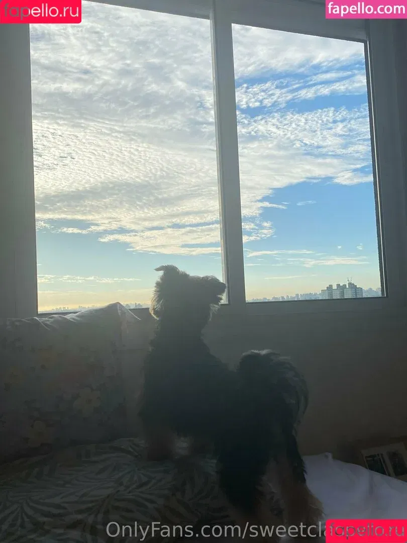 sweetclassyfree / sweetjoydream Onlyfans Photo Gallery 