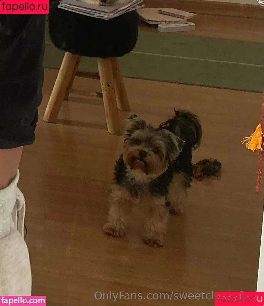 sweetclassyfree / sweetjoydream Onlyfans Photo Gallery 